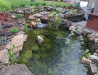 Birmingham Landscape Designer image 13